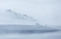Minimalismus im Winter