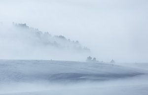 Minimalismus im Winter