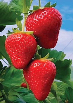 Frisch aus dem Garten