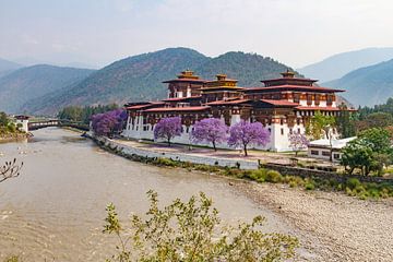 Punakha Dzong von Erwin Blekkenhorst