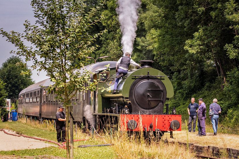 Locomotive à vapeur Austerity WD196 Saddle tank par Rob Boon