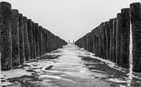 Drawn to the sea