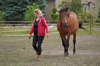 Trakehner Feldmeyer met eigenaar in de wei van Babetts Bildergalerie thumbnail
