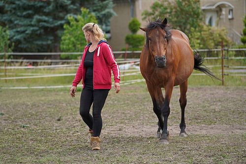 Trakehner Feldmeyer met eigenaar in de wei