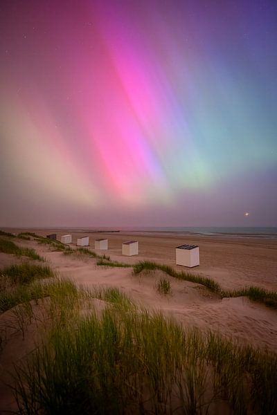 Nordlicht über dem Strand von Zeeland von Thom Brouwer