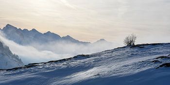 Besneeuwd landschap