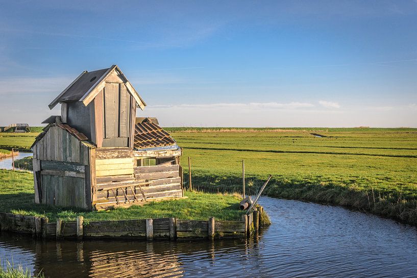 The little house (Marken) von Alessia Peviani