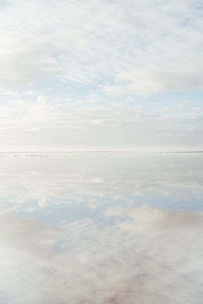 Wad near Vlieland, mirror smooth water - nature photography print by Laurie Karine van Dam