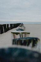Pile head on the beach in Zeeland