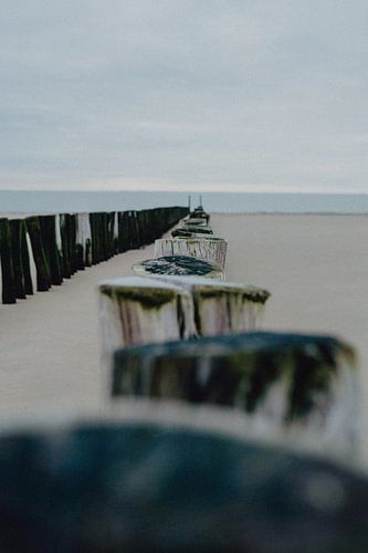 Stapelkopf am Strand von Zeeland