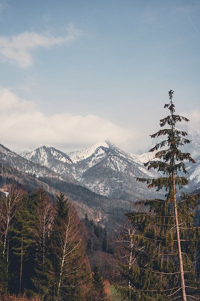 Berg von SJ Media