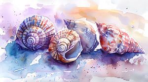Muscheln Serenade
