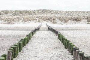 Houten strandpalen op het strand en  duinenrij in Zeeland. van Ron van der Stappen