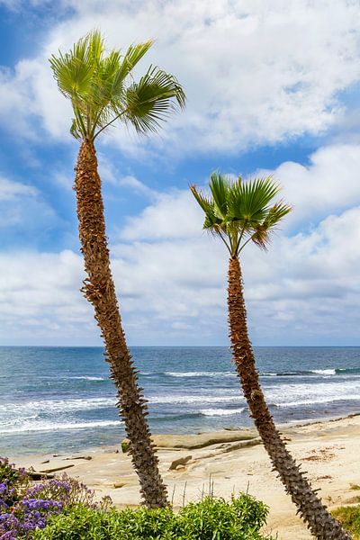 SAN DIEGO La Jolla zeezicht van Melanie Viola