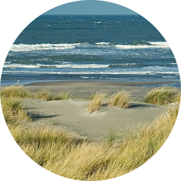 Panorama van de Westlandse duinen met uitzicht over het Noordzee strand van Gert van Santen