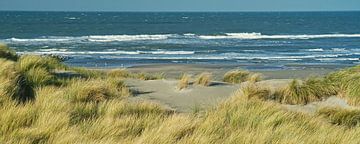 Westland dunes overlooking the North Sea beach by Gert van Santen