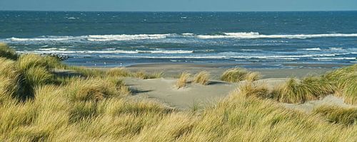 Westland dünen mit Blick auf den Nordseestrand