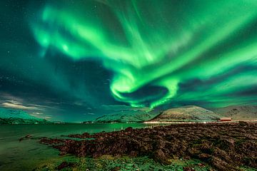 Magical light in Norway van Diana Venis-Kerkhoven