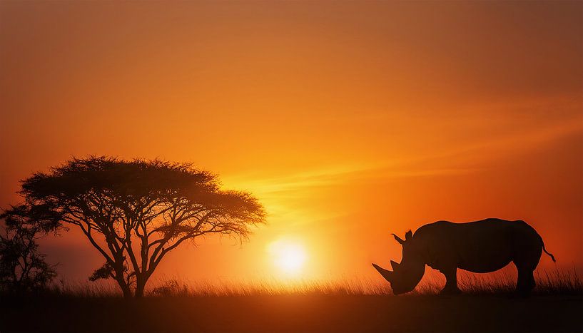 Sunset in Africa by Mustafa Kurnaz