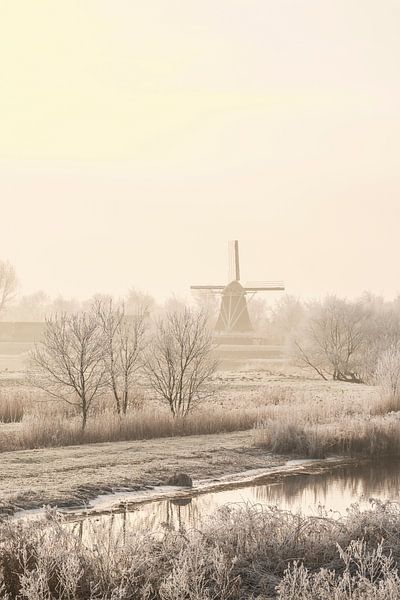 Uitzicht op de oude molen in de stad Kampen van Sjoerd van der Wal Fotografie