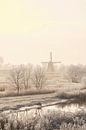Uitzicht op de oude molen in de stad Kampen van Sjoerd van der Wal Fotografie thumbnail