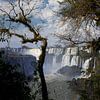 The area of Iguazu Falls is a set of about 275 waterfalls in the Iguazu River. by Tjeerd Kruse