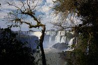 Het gebied van Iguazu Falls is een set van ongeveer 275 watervallen in de Iguazu River van Tjeerd Kruse thumbnail