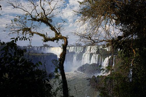 The area of Iguazu Falls is a set of about 275 waterfalls in the Iguazu River.