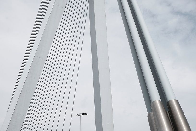 Erasmusbrug van Bert Broer