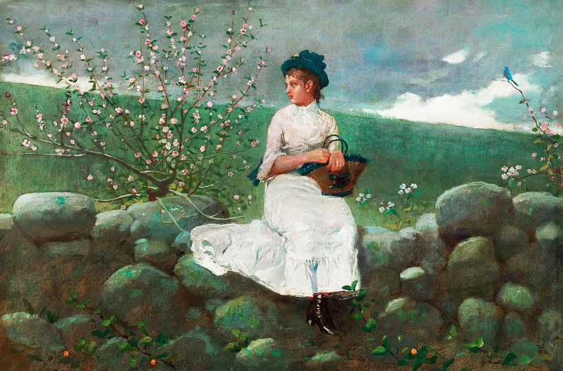 Peach Blossom (1878) by Winslow Homer. by Studio POPPY