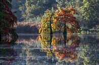 Herfst Symfonie van jean-michel deborde thumbnail