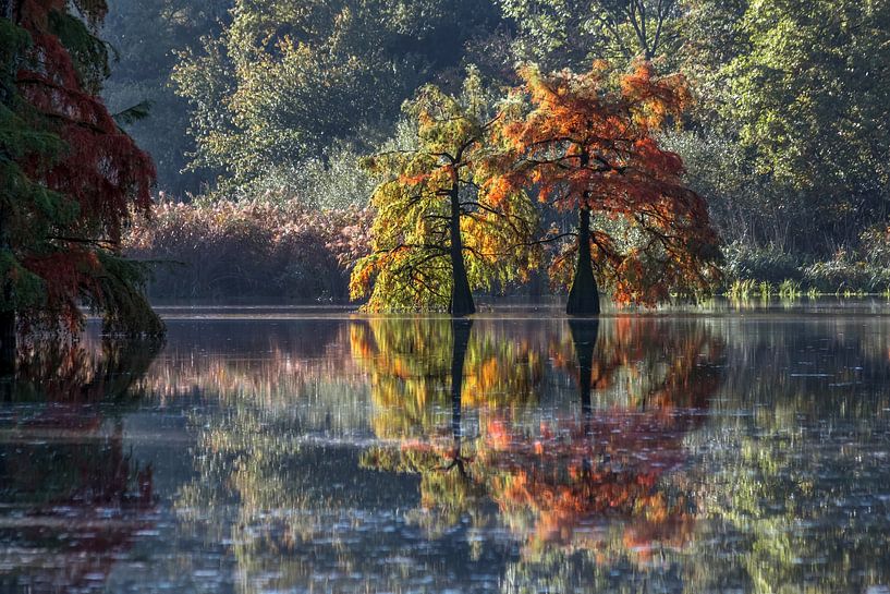 Herfst Symfonie van jean-michel deborde