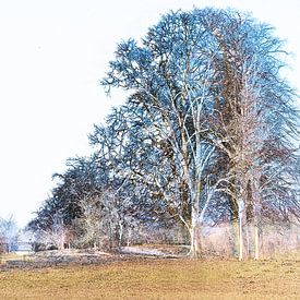 Panorama Auenlandschaft im Winter von Nico van Haastrecht