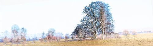 Panorama Auenlandschaft im Winter von Nico van Haastrecht