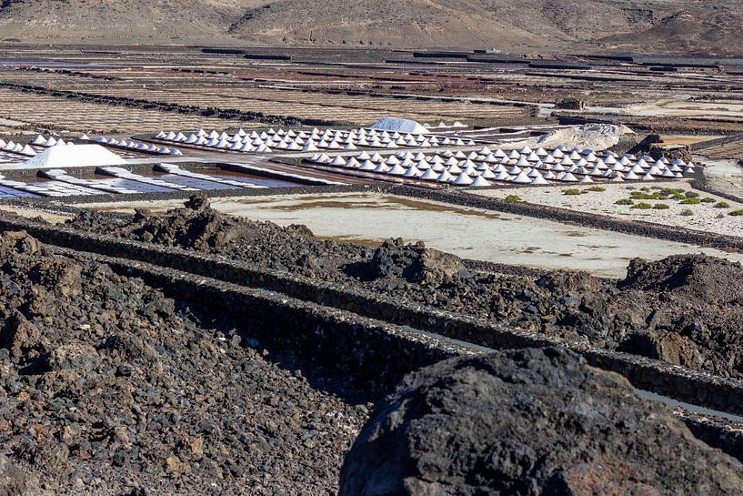 Meersalzgewinnung auf Lanzarote von Reiner Conrad