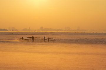 Zone du polder sur Aalt van Tongeren