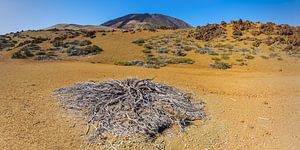 Nationalpark Teneriffa