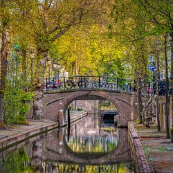 Werfkelder (Utrecht)