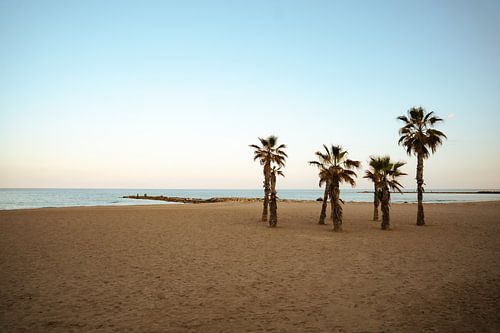Sonnenuntergang am Strand - El Campello, Spanien