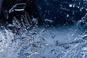 Eiskristalle, ein Wunder der Natur