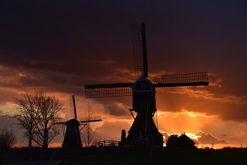 Die schönen Mühlen bei Sonnenuntergang.