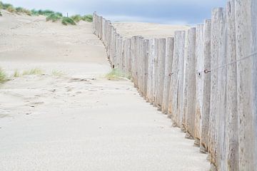 Dünen und Strand, Zandvoort von Wendy Tellier - Vastenhouw