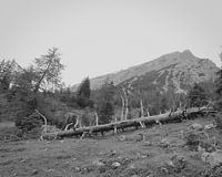 Gebirge in Schwarzweiß