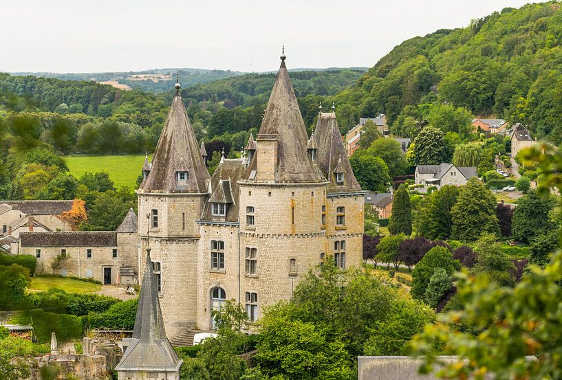 the castle of Durbuy by Nicola Mathu
