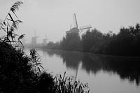 Kinderdijk 3