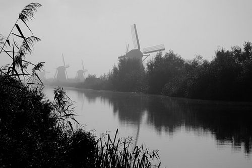 Kinderdijk 3
