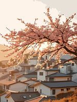 Cherry Blossoms in the Village