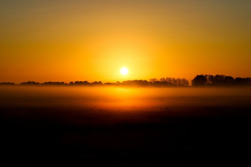 Sonnenaufgang in den Niederlanden von Sharona de Wolf