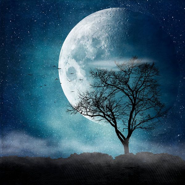 Mond Blues von Dirk Wüstenhagen