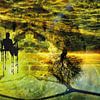 Hanging garden by Andreas Schulte